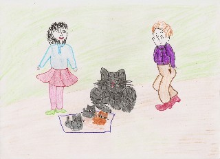 �����������